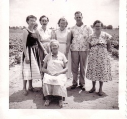 Picture